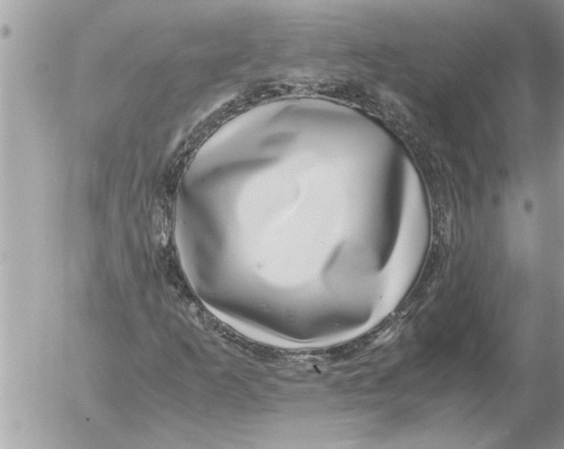 X0000052601253200507292114