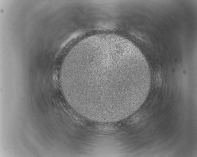 X0000052601254200507292114