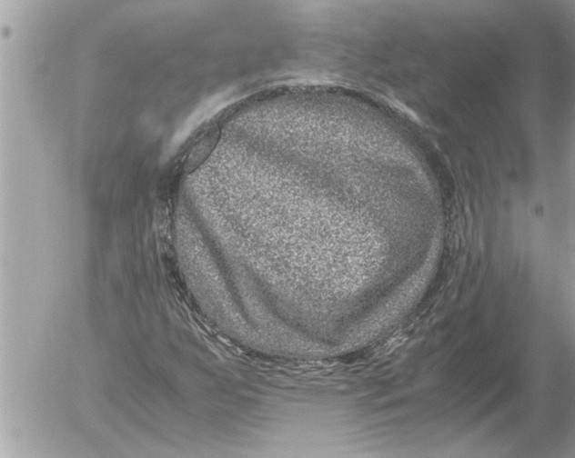 X0000052601255200507292114