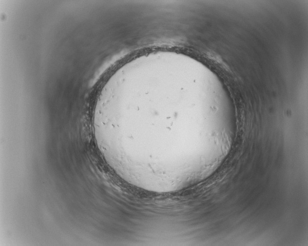 X0000052601256200507292114