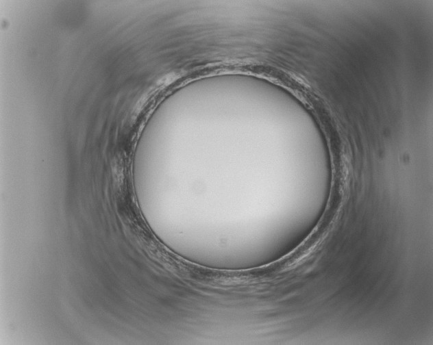 X0000052601257200507292114