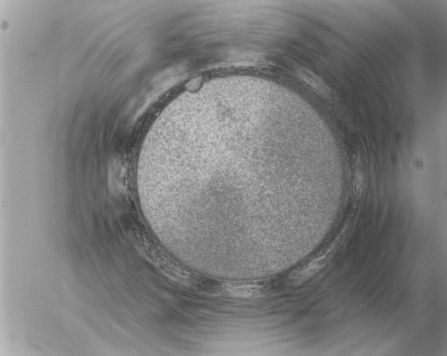 X0000052601258200507292114