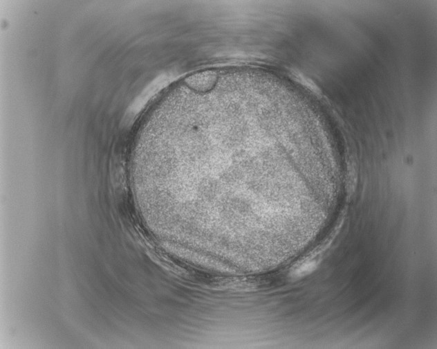 X0000052601259200507292114