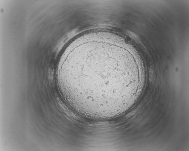 X0000052601260200507292114