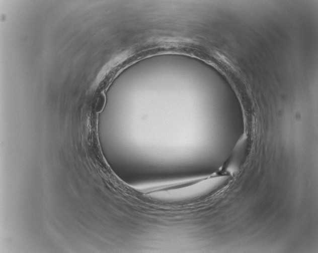 X0000052601261200507292114