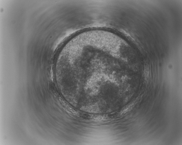 X0000052601262200507292114