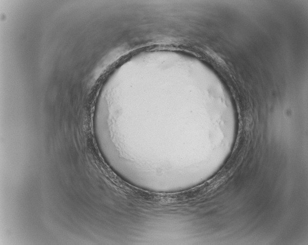 X0000052601263200507292114