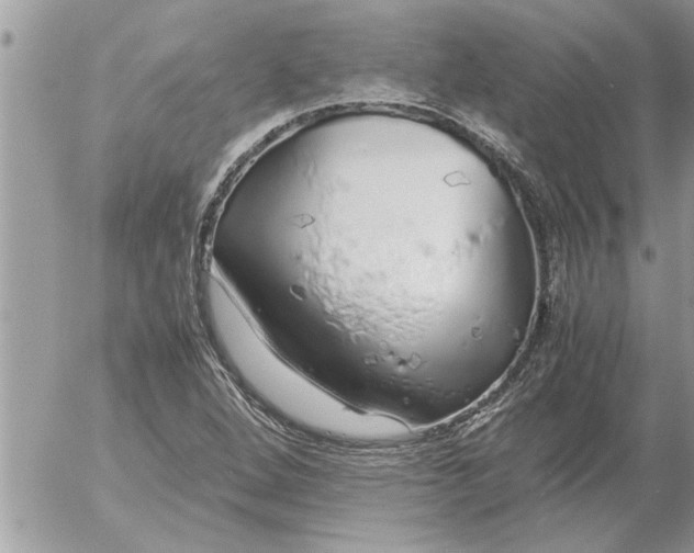 X0000052601264200507292114