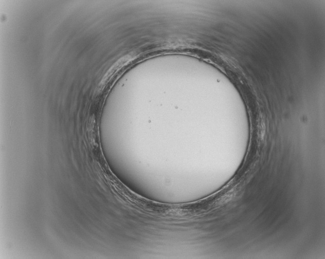 X0000052601265200507292114