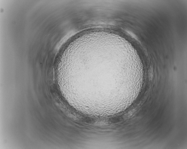 X0000052601267200507292114