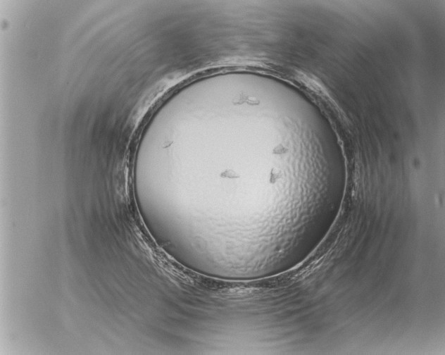 X0000052601268200507292114