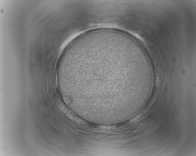 X0000052601271200507292113