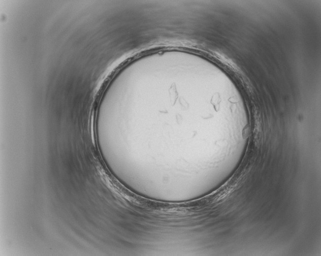 X0000052601272200507292113