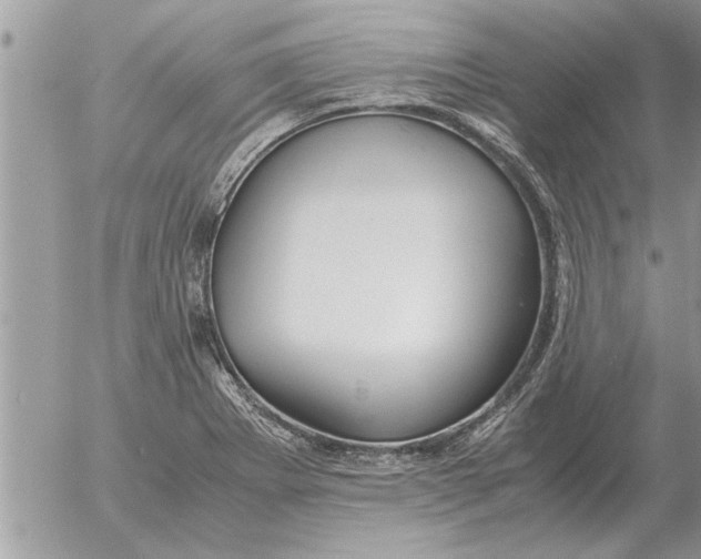 X0000052601273200507292113