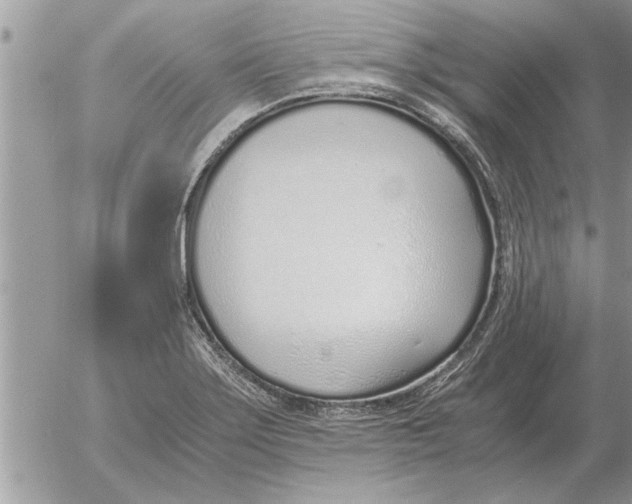 X0000052601275200507292113