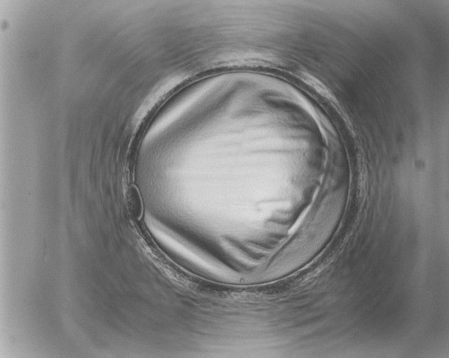 X0000052601277200507292113