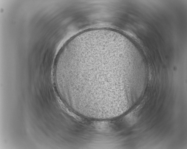 X0000052601278200507292113