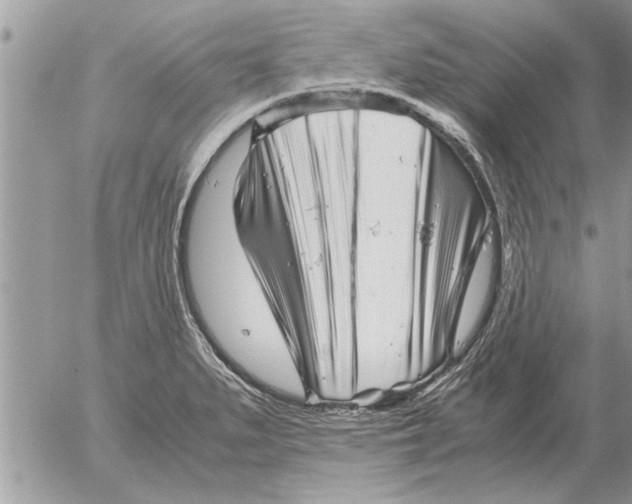 X0000052601279200507292113