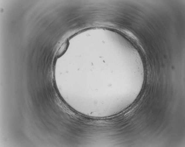 X0000052601280200507292113