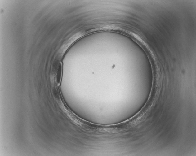 X0000052601281200507292113