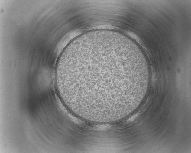 X0000052601282200507292113