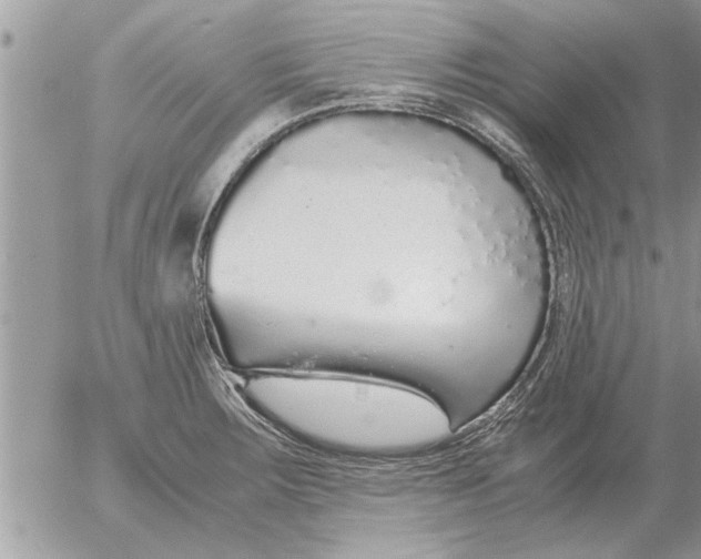 X0000052601283200507292113