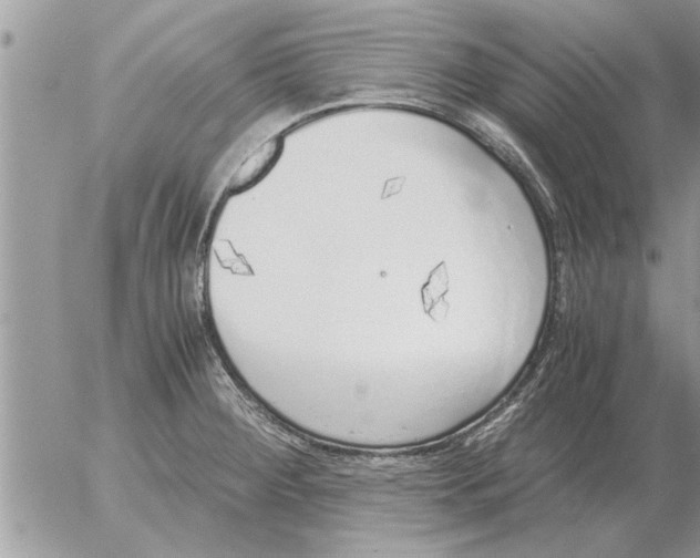 X0000052601284200507292113