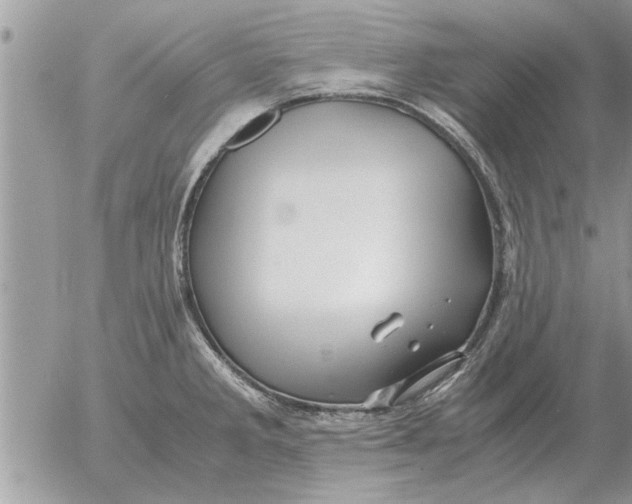 X0000052601285200507292113