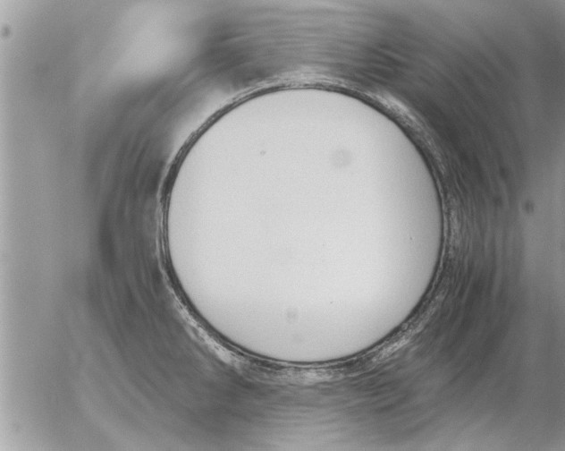 X0000052601286200507292113