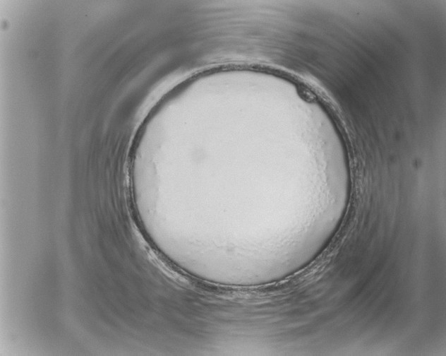 X0000052601287200507292113