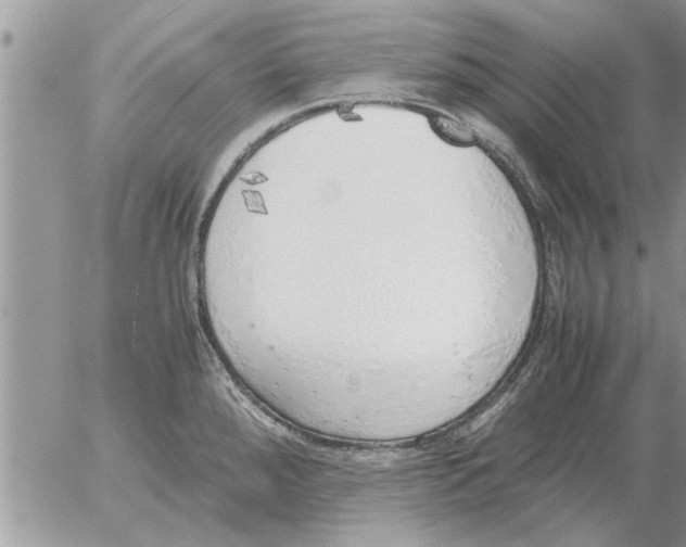 X0000052601288200507292113