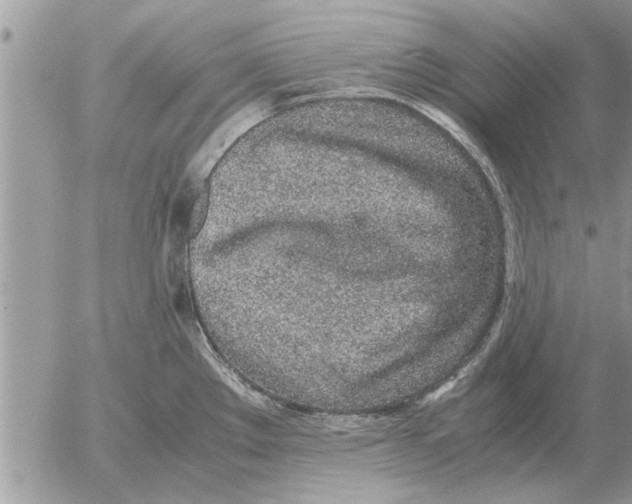 X0000052601289200507292113