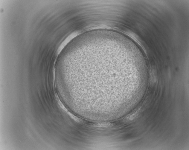 X0000052601290200507292113