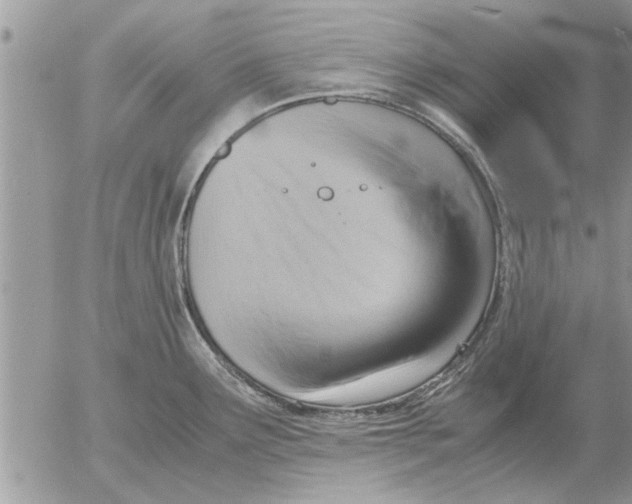 X0000052601291200507292113