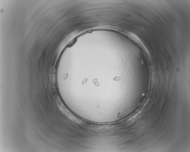 X0000052601292200507292113