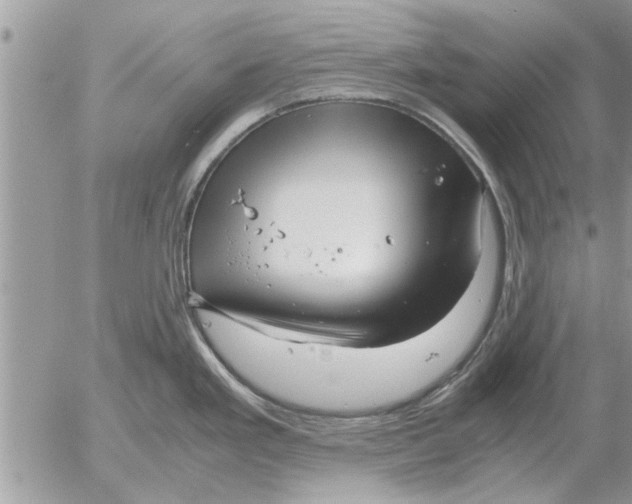 X0000052601293200507292113