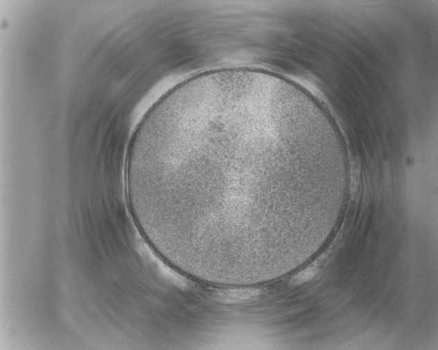 X0000052601294200507292113