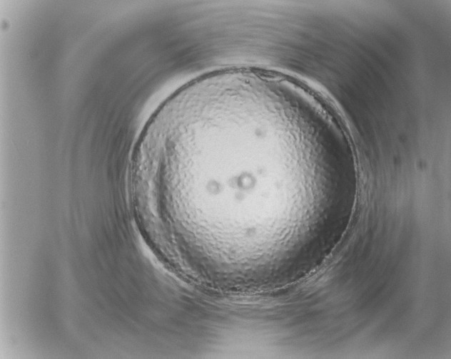 X0000052601295200507292113