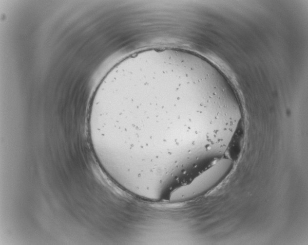 X0000052601296200507292113