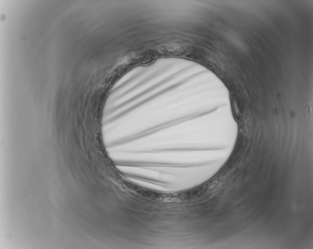 X0000052601297200507292112