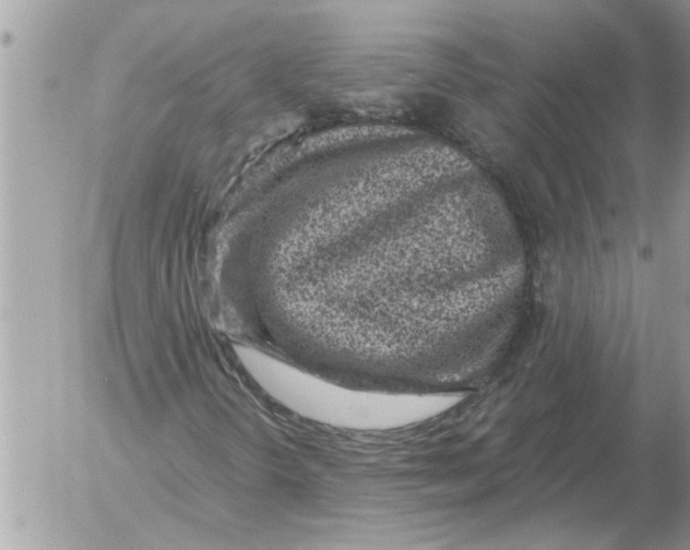 X0000052601298200507292112