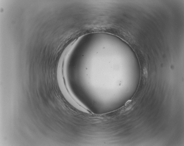 X0000052601300200507292112