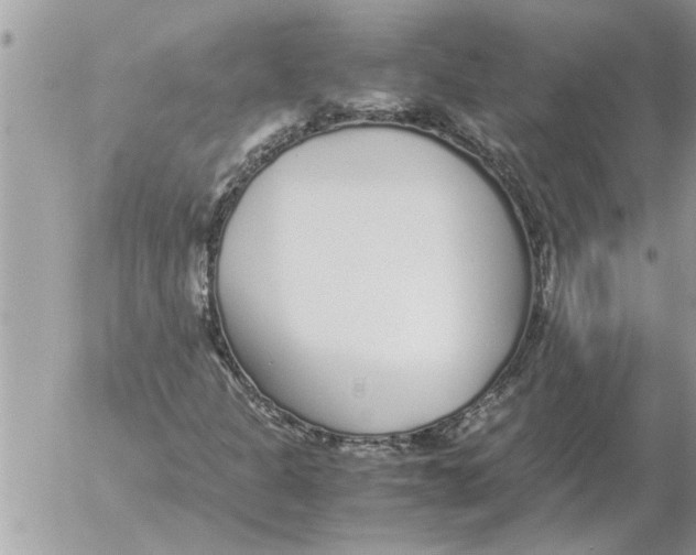 X0000052601301200507292112