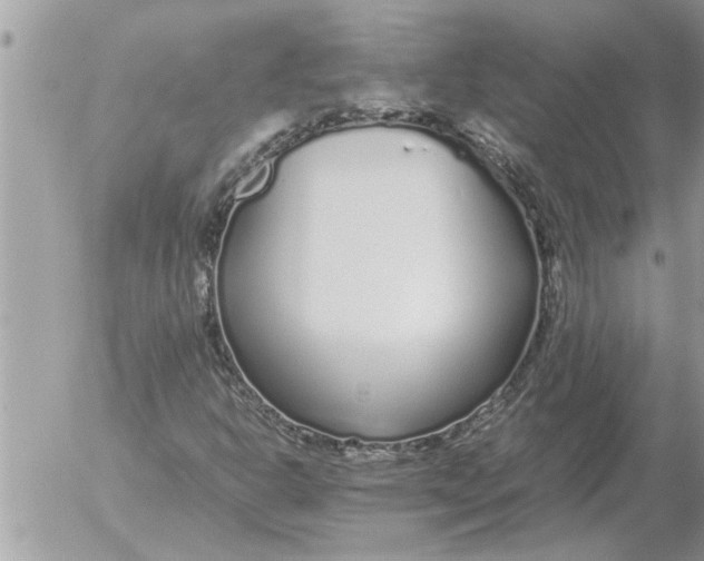 X0000052601302200507292112