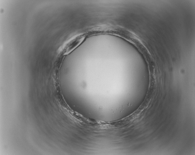 X0000052601304200507292112