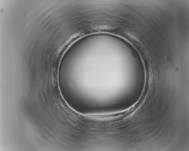 X0000052601305200507292112