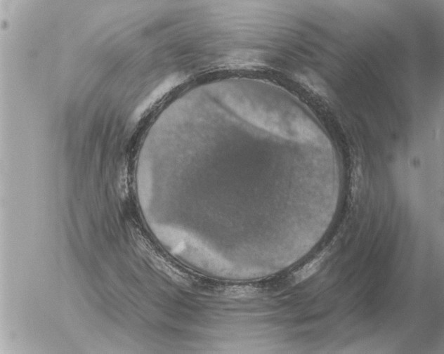 X0000052601306200507292112