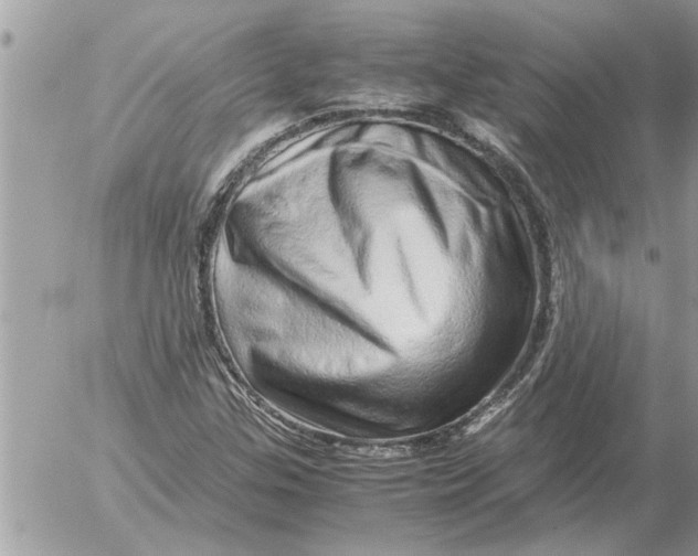 X0000052601307200507292112