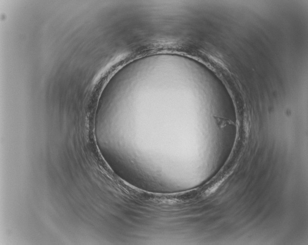 X0000052601309200507292112