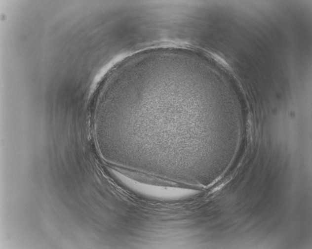 X0000052601310200507292112